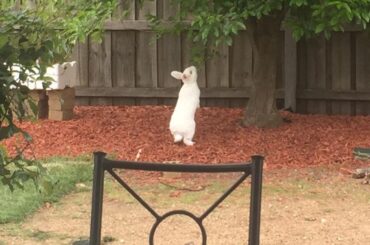 She like those F R E S H leaves.