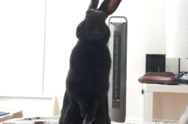 I was told this belongs here