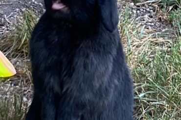 Two words "Lucky picture"