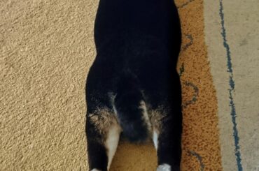 Look at those legs 😆❤️