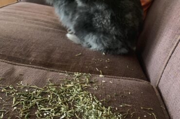 She claims no involvement.