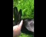 let's try the video again. lol