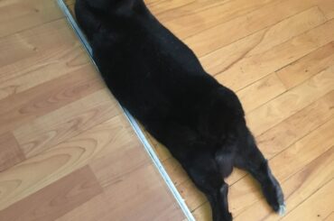 2 years ago, today. A great noodle.