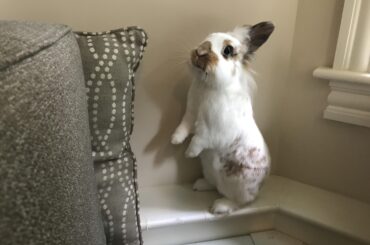 Little small being tall