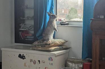 Athena, goddess of victory, demands your supplication