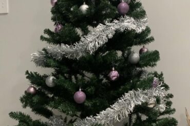 Juliet’s first Christmas at our home 🎄