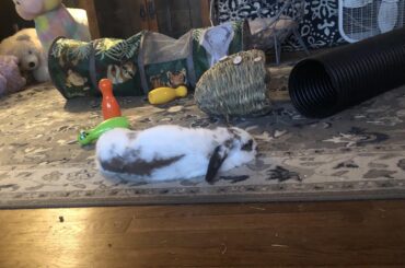 Just because I am loafing… Does not mean that I am not currently composing a sternly worded letter to the supervisor!