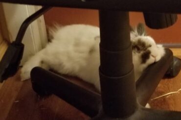 This can't be comfortable