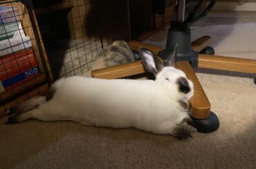Taking a break from eating