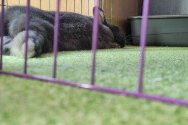 My little man being a little noodle (featuring the fluffy feets)