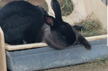 Perfect nap location