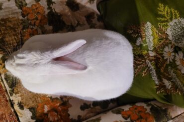 Going for that Aeriel View