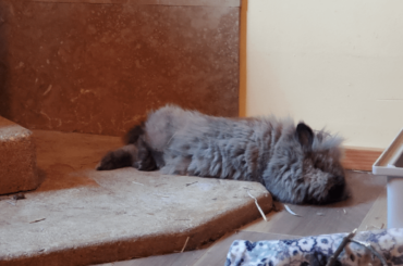 Sure. I can see how that would feel good... 🧐🙃. Also husbun bonus photos.