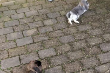 Double noodling after the thunderstorm, give us those cold tiles 🤤