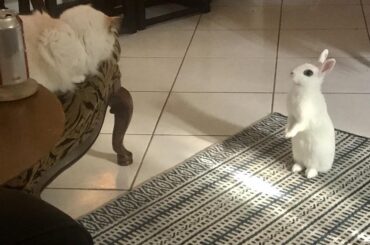 Whoa, whoa, whoa! That’s my spot