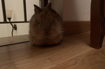 I can’t post more than one image in this sub but I’ll link the other two pictures I’ve taken in the comments! Zoi is here for you again :D