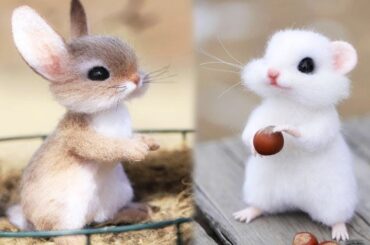 Cute baby animals Videos Compilation cute moment of the animals #10 Cutest Animals 2023