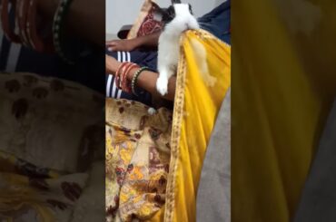 Cute baby bunny #shorts