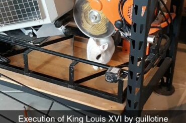 My bunny liked sleeping underneath a table saw. It was where he felt the most relaxed.
