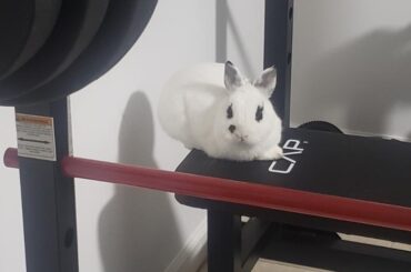 Levitating