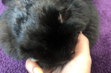 Being put to use as a head rest