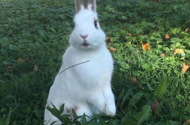 Was told that you would like tookie