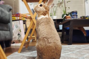 He stands sometimes.