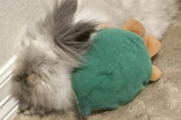 Again, the toy was there first…