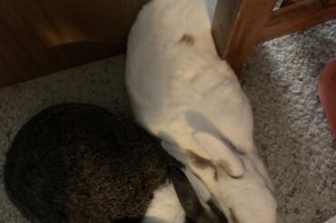 I swear she’s part snake.
