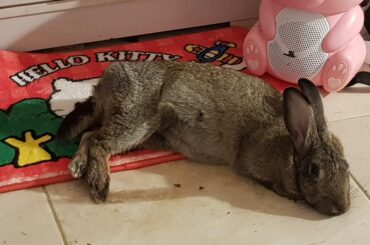 Mmm hard cold floor, my favorite