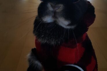 Another bunno, but this time, he's a rapper.