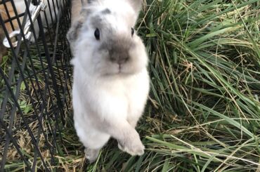 He stands so much 😍