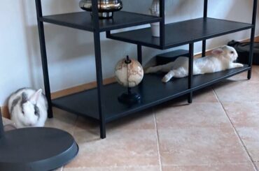 Beautiful decoration