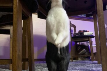 When your Ten-Hut actually goes to 11