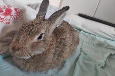 My sweet personal loaf