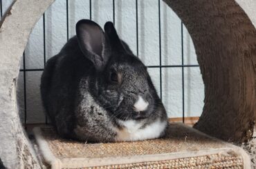 Leaf is loafin' around today