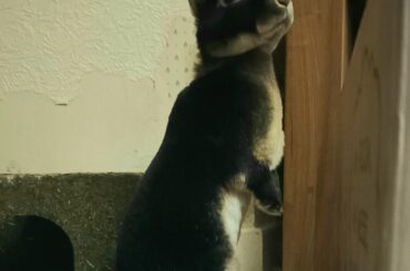 my beautiful son Joey