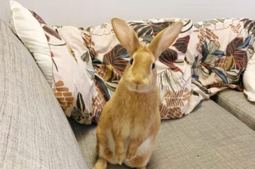 I think she’s a little bit curious..