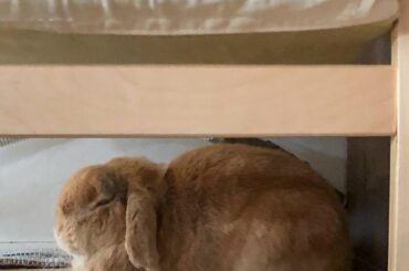 I hope he’s having sweet dreams!