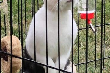 stop taking photos and come play with me (please!)