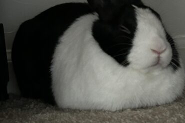 Found a loaf underneath my bed