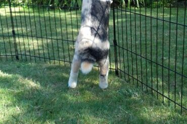 Should I take it personally?