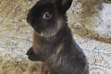 My little guy, Oliver