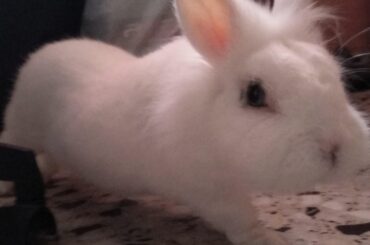 This noodle is curious