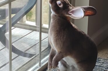 Caught her looking out the window