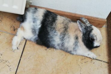 Take a look at my beautiful noodle 💖