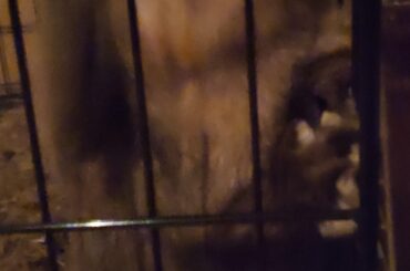 Hey you. Psst. Got treats?