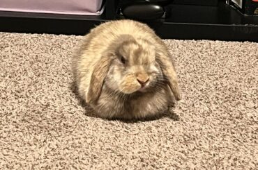 i’m so happy this sub exists!!! this post belongs here i think.