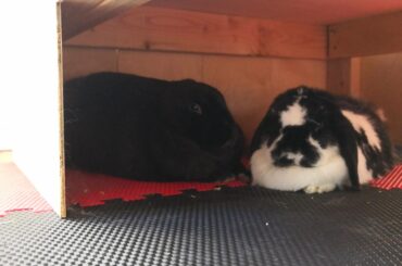 We may have left our loafs in the oven for too long