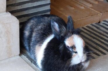 My loafy daughter ❤️❤️